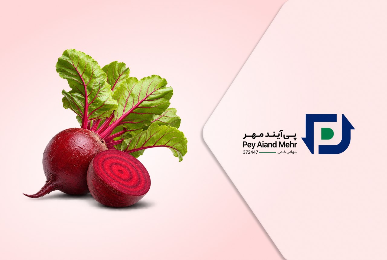 بازتولید تجهیزات تشخیصی مراکز درمانی در	شرکت ویستا تجهیز احیاء (ویتا)